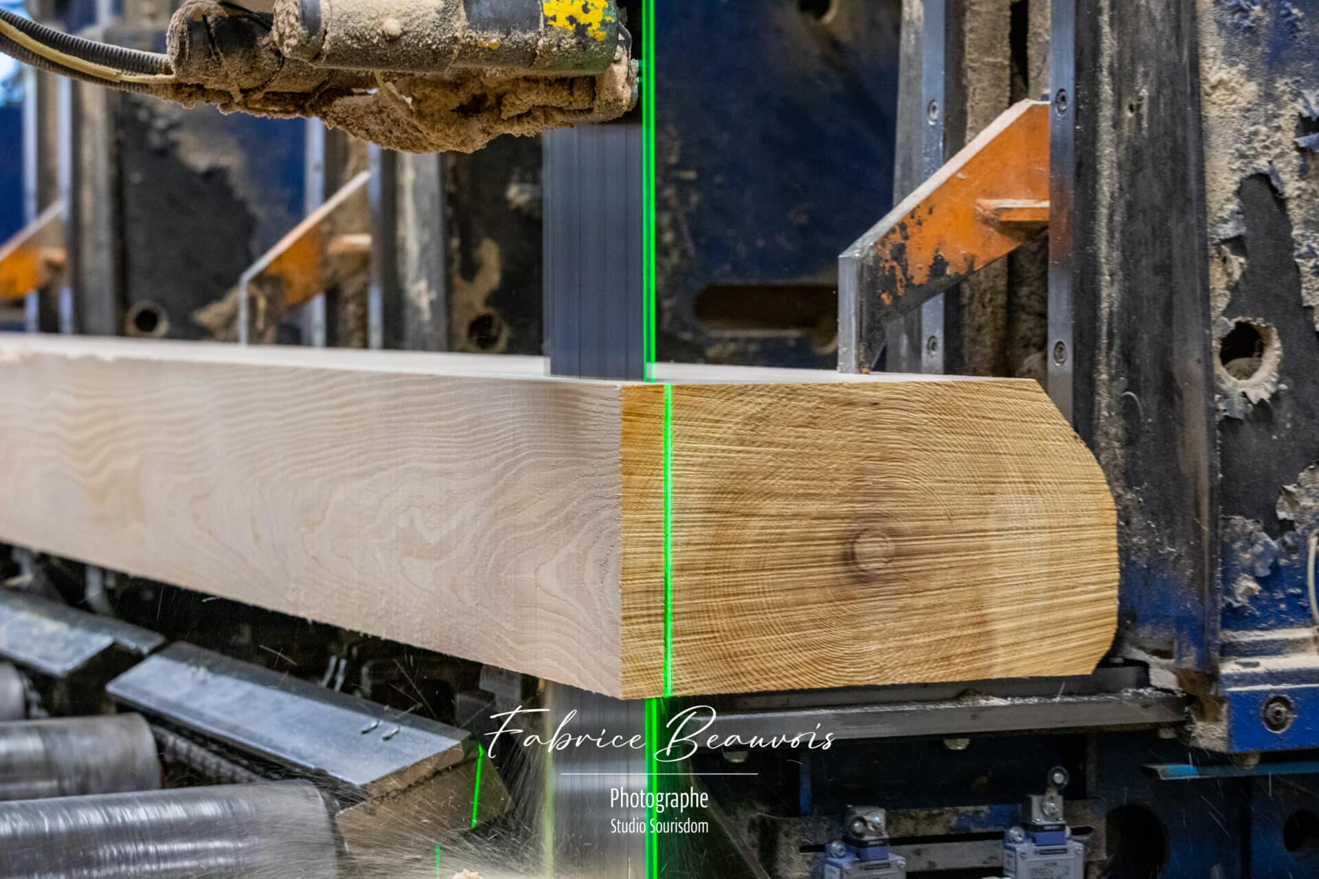 Découpe au marquage laser d'un tronc d'arbre pour être débité en planche